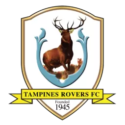 淡滨尼流浪者 队徽