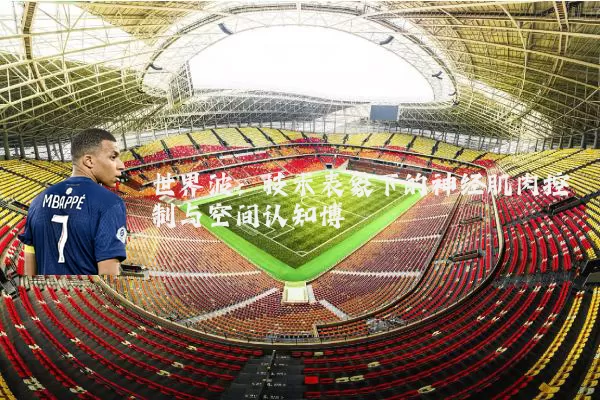 世界波:技术表象下的神经肌肉控制与空间认知博弈